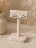 Boucles LEA